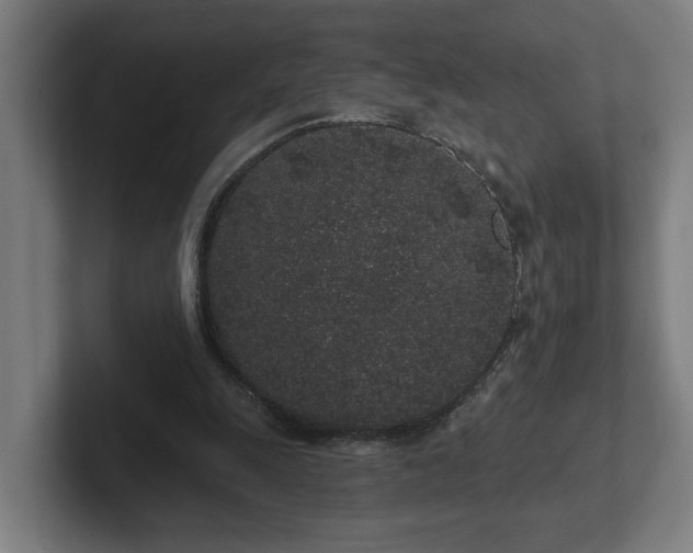 X0000102310247200808011428