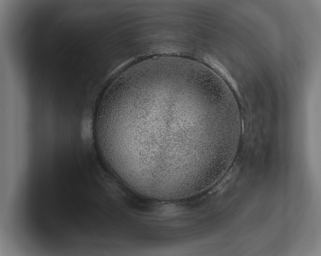 X0000102310249200808011428