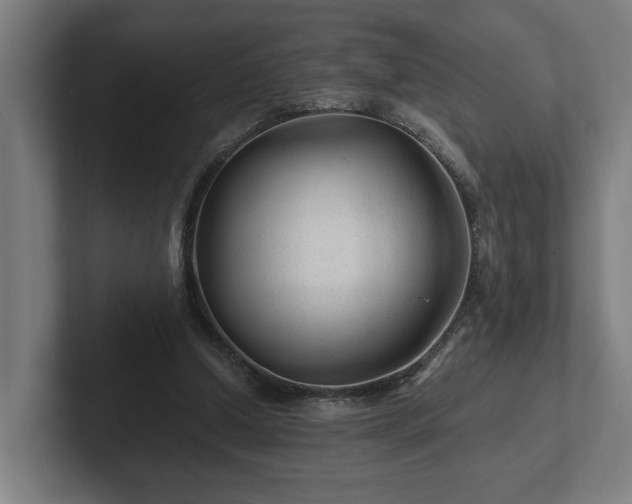 X0000102310250200808011428