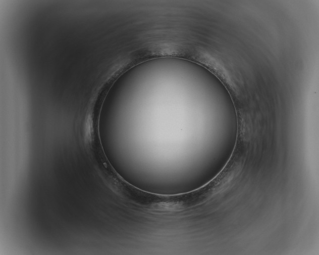 X0000102310251200808011428