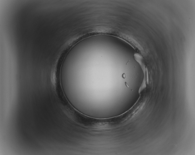 X0000102310252200808011428