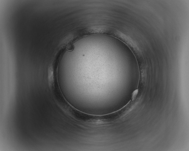 X0000102310254200808011428