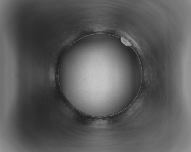 X0000102310257200808011429