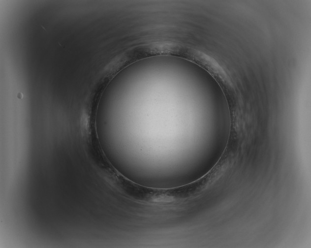 X0000102310258200808011429