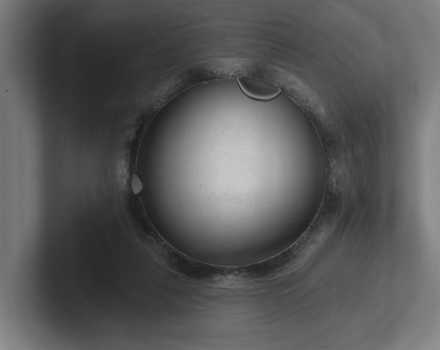 X0000102310259200808011429