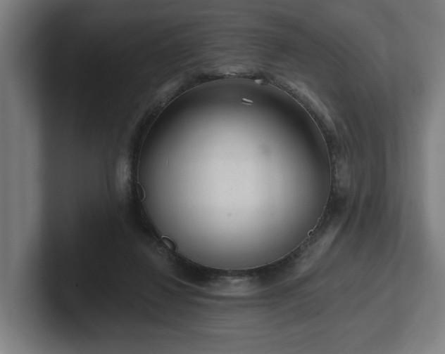 X0000102310260200808011429