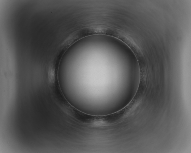 X0000102310262200808011429