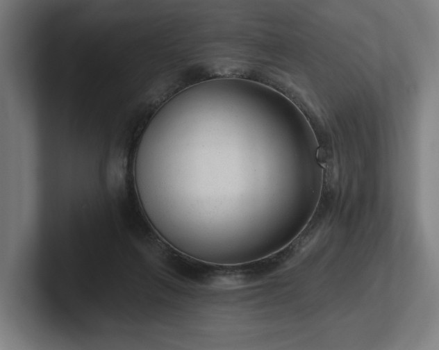 X0000102310263200808011429