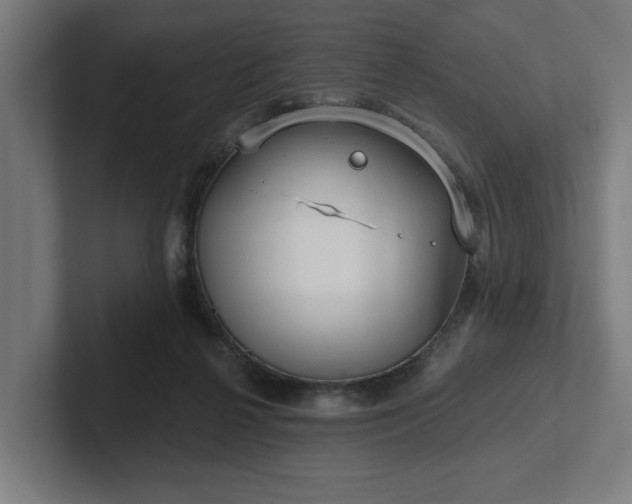 X0000102310264200808011429