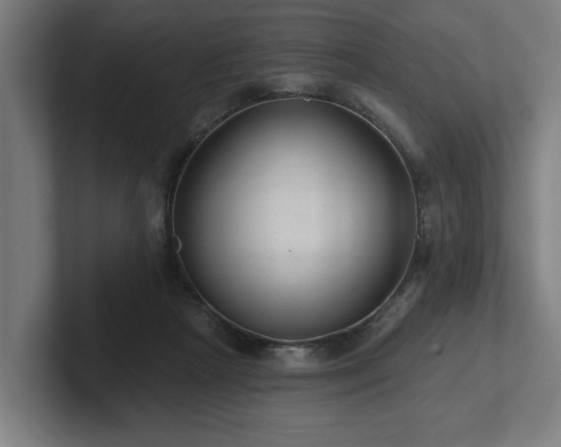 X0000102310265200808011429