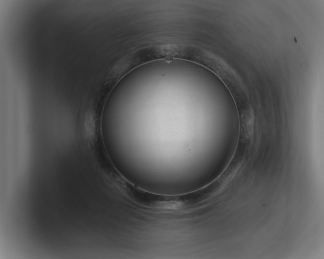 X0000102310266200808011429