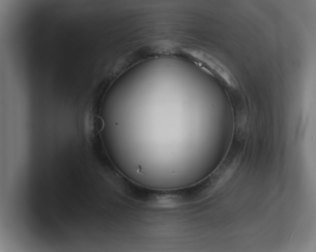 X0000102310268200808011429