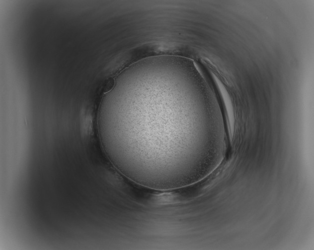 X0000102310269200808011429