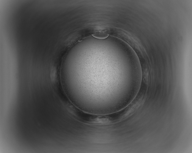 X0000102310270200808011429