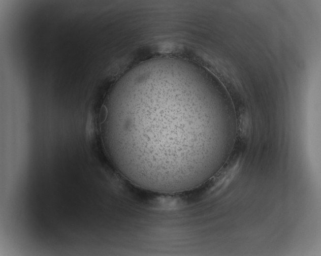 X0000102310272200808011429