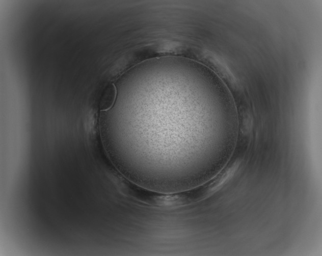 X0000102310273200808011429