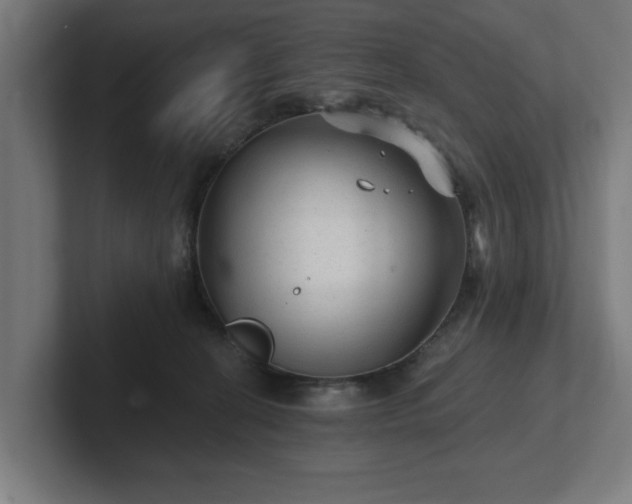 X0000102310274200808011429