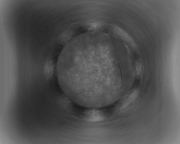 X0000102310276200808011429