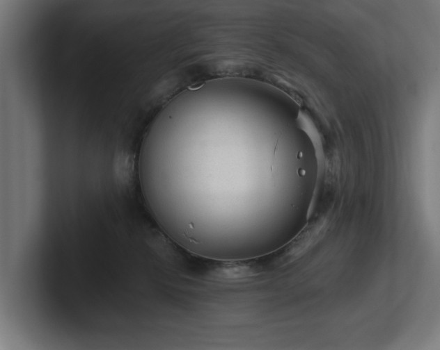 X0000102310278200808011429