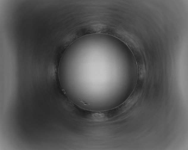 X0000102310279200808011429