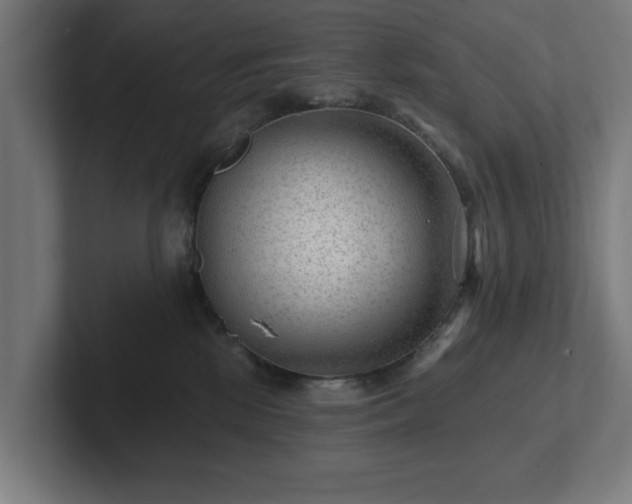 X0000102310281200808011429