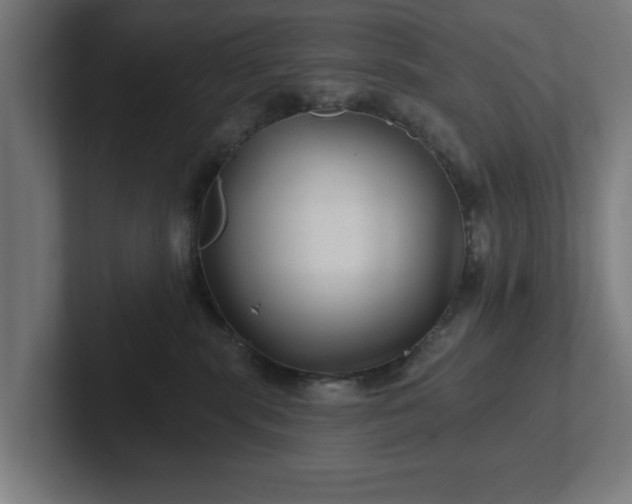 X0000102310283200808011429