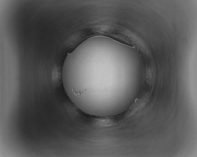 X0000102310284200808011429