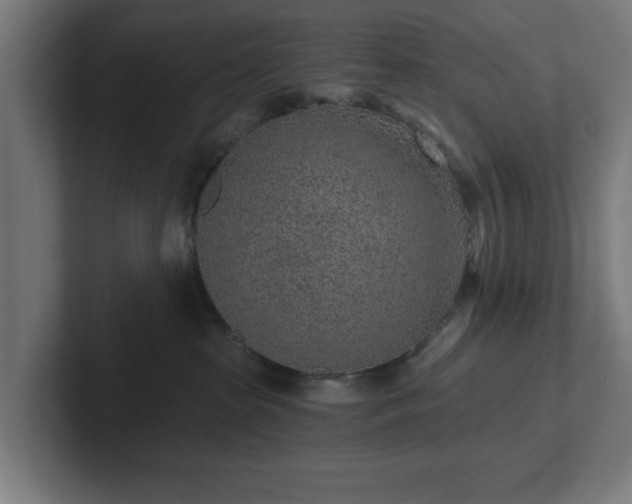 X0000102310285200808011429