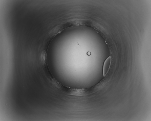 X0000102310288200808011429