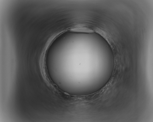 X0000102310289200808011428