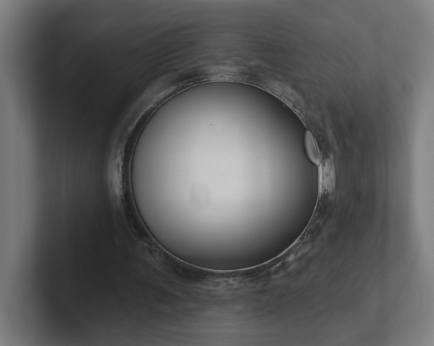 X0000102310291200808011428