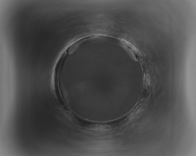 X0000102310292200808011428