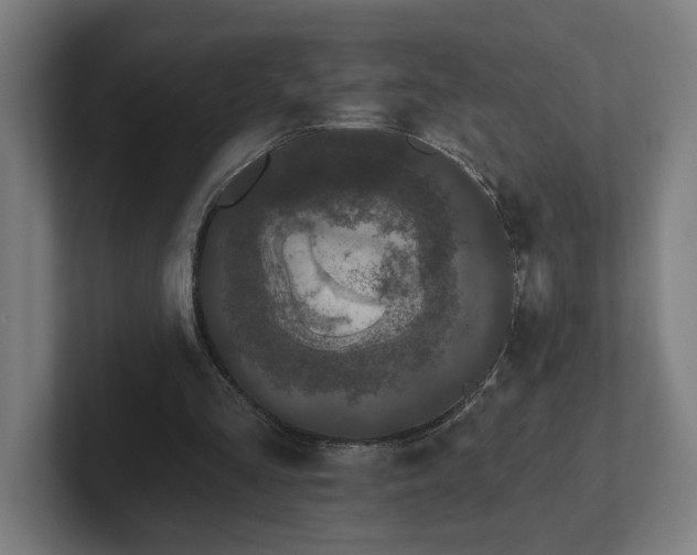 X0000102310293200808011428