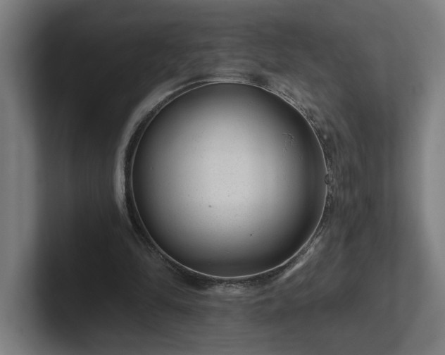 X0000102310294200808011428