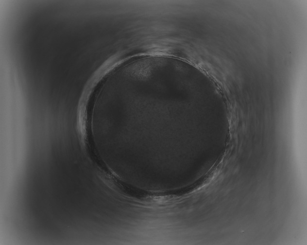 X0000102310295200808011428