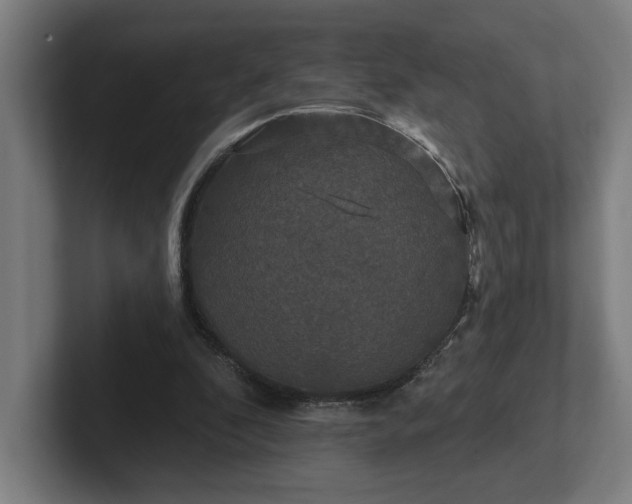 X0000102310296200808011428