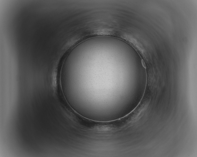 X0000102310299200808011428