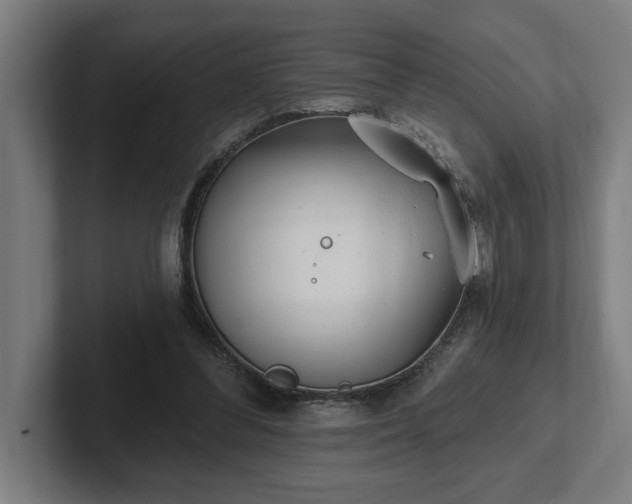 X0000102310300200808011428