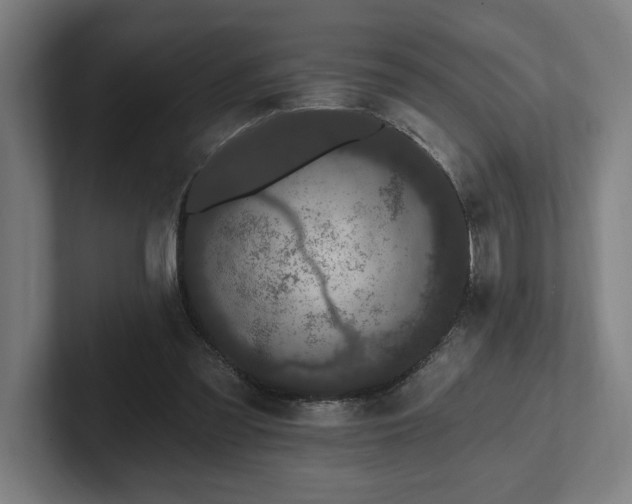 X0000102310301200808011428