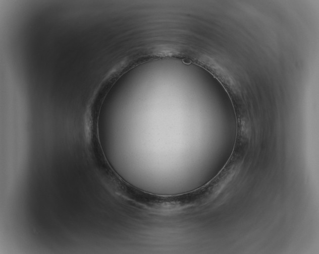 X0000102310304200808011428