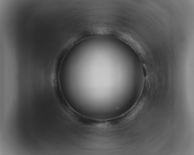 X0000102310306200808011428