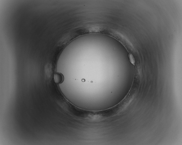 X0000102310311200808011428