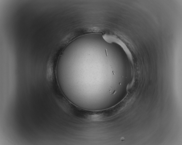 X0000102310312200808011428