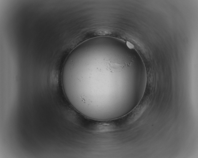 X0000102310315200808011428