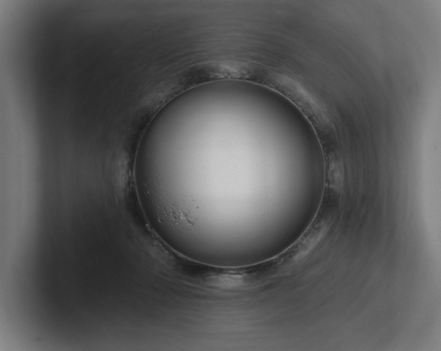 X0000102310318200808011428