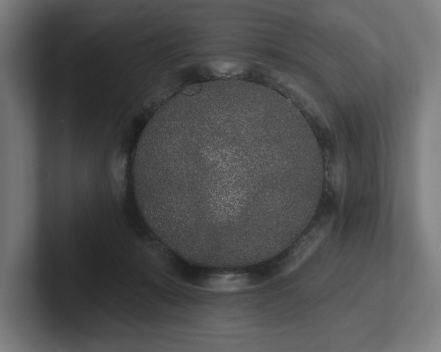 X0000102310319200808011428