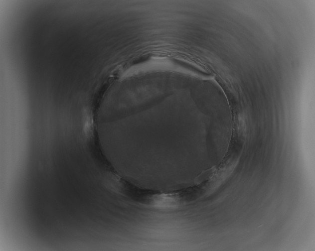 X0000102310320200808011428