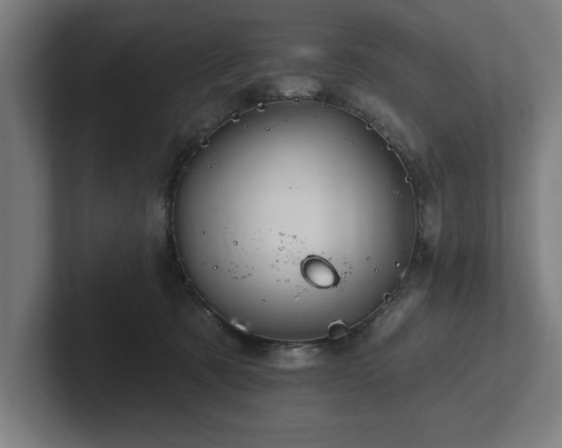 X0000102310321200808011428