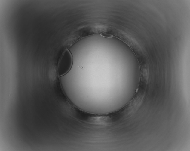 X0000102310323200808011428