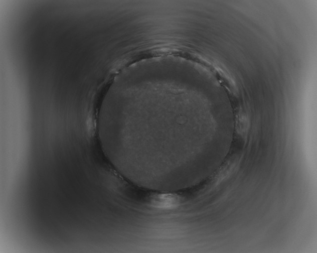 X0000102310324200808011428